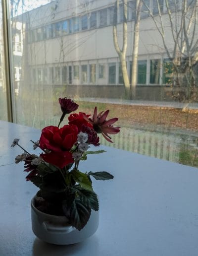Flower pot inside Haus der Statistik, Berlin
