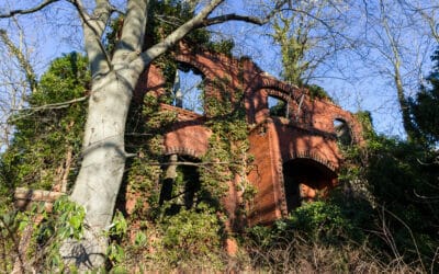 War-torn ruin